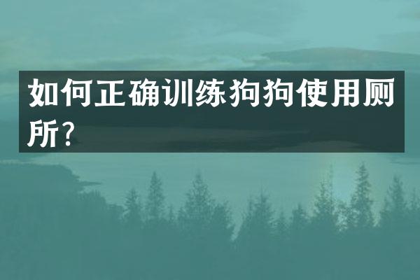 如何正确训练狗狗使用厕所？
