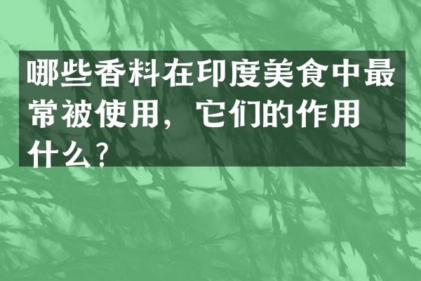哪些香料在印度美食中最常被使用，它们的作用是什么？