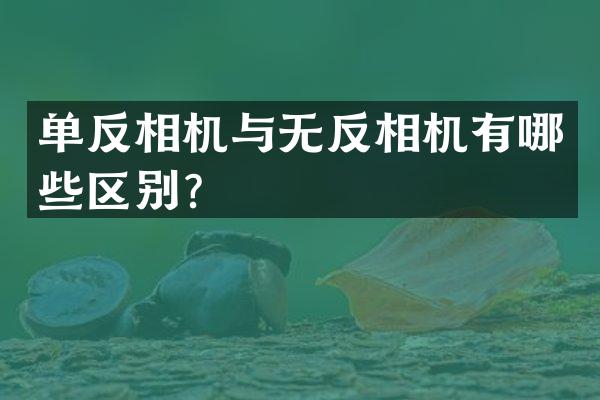 单反相机与无反相机有哪些区别？