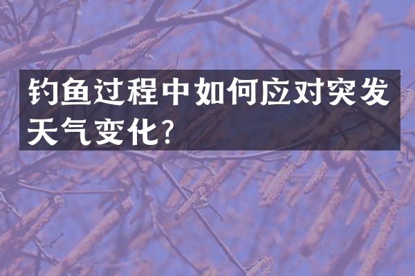 钓鱼过程中如何应对突发天气变化？