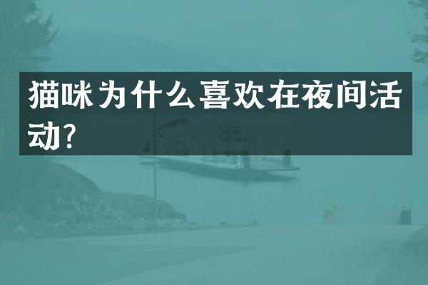 猫咪为什么喜欢在夜间活动？