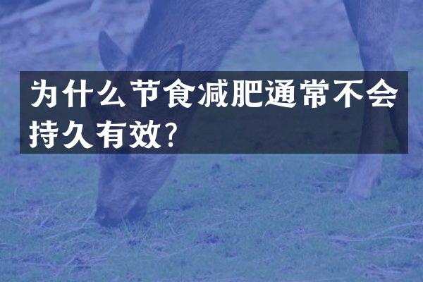 为什么节食减肥通常不会持久有效？