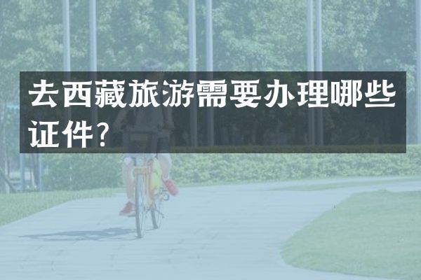 去西藏旅游需要办理哪些证件？