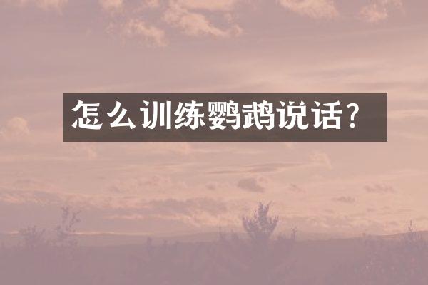 怎么训练鹦鹉说话？