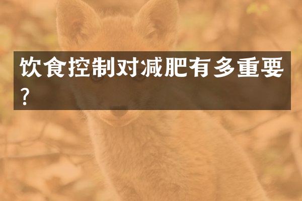 饮食控制对减肥有多重要？