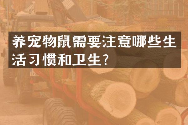 养宠物鼠需要注意哪些生活习惯和卫生？