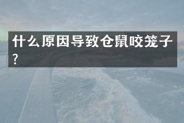 什么原因导致仓鼠咬笼子？