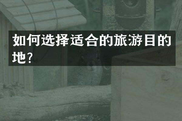 如何选择适合的旅游目的地？