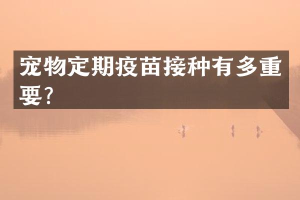 宠物定期疫苗接种有多重要？