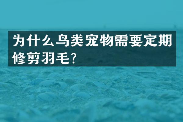 为什么鸟类宠物需要定期修剪羽毛？
