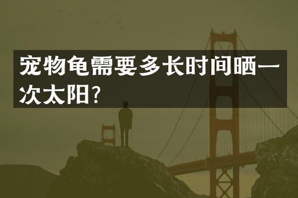 宠物龟需要多长时间晒一次太阳？
