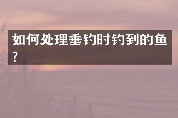如何处理垂钓时钓到的鱼？