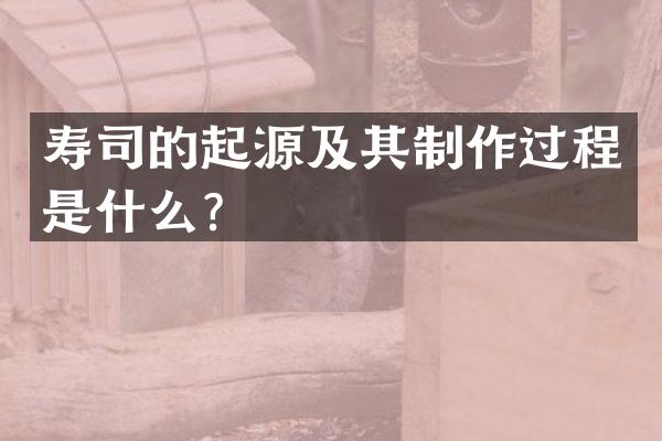 寿司的起源及其制作过程是什么？