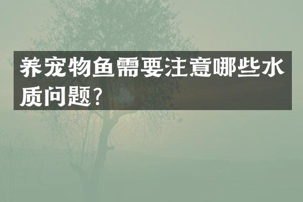养宠物鱼需要注意哪些水质问题？