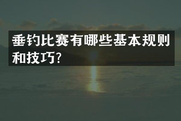 垂钓比赛有哪些基本规则和技巧？