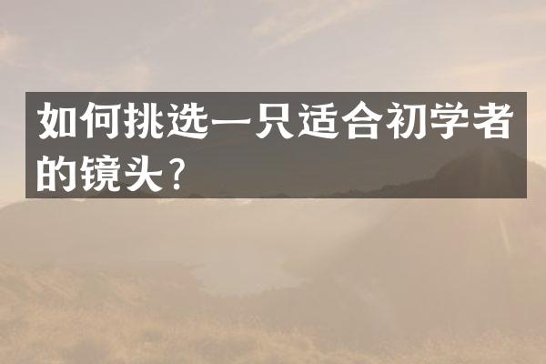 如何挑选一只适合初学者的镜头？