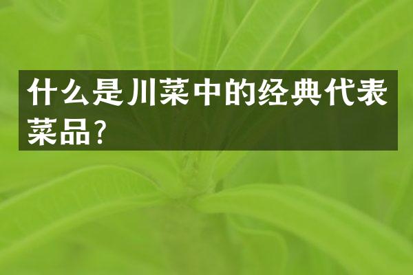 什么是川菜中的经典代表菜品？