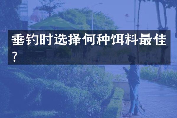 垂钓时选择何种饵料最佳？