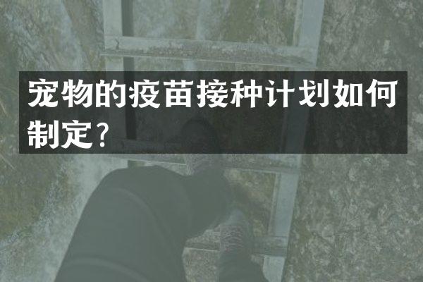宠物的疫苗接种计划如何制定？