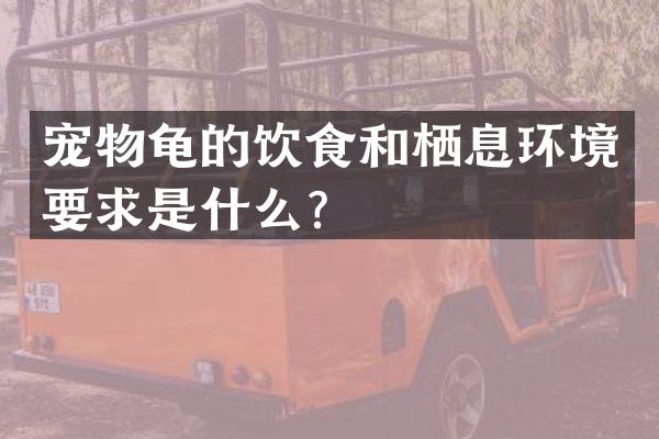 宠物龟的饮食和栖息环境要求是什么？