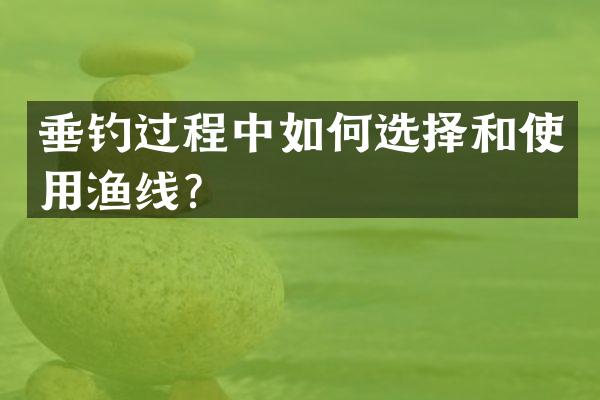 垂钓过程中如何选择和使用渔线？