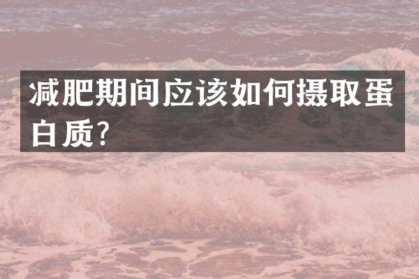 减肥期间应该如何摄取蛋白质？