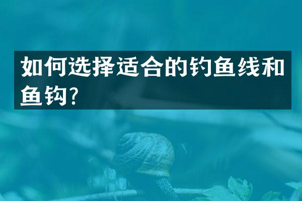 如何选择适合的钓鱼线和鱼钩？