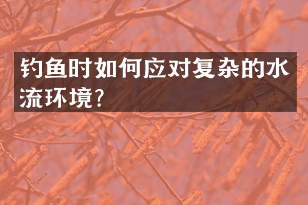 钓鱼时如何应对复杂的水流环境？