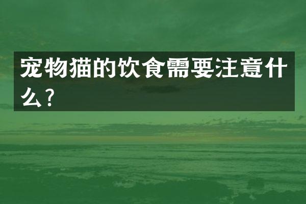 宠物猫的饮食需要注意什么？