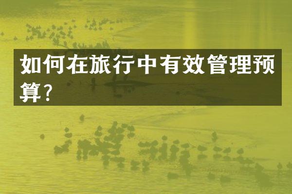 如何在旅行中有效管理预算？