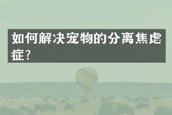 如何解决宠物的分离焦虑症？