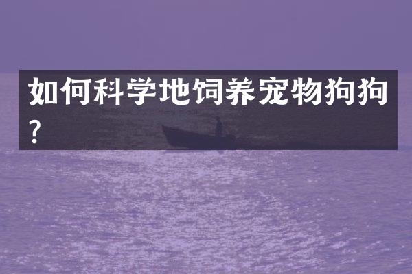 如何科学地饲养宠物狗狗？