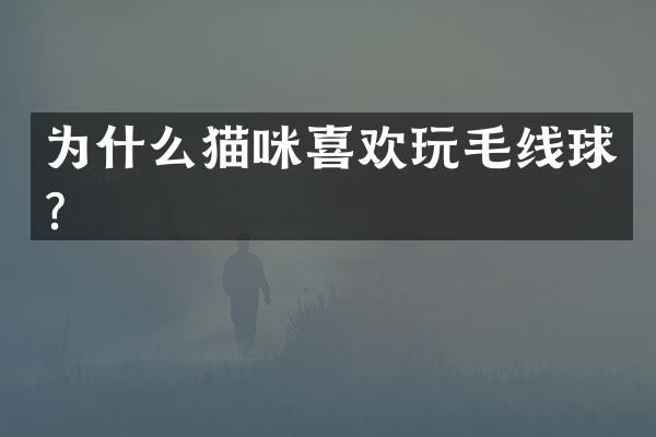 为什么猫咪喜欢玩毛线球？