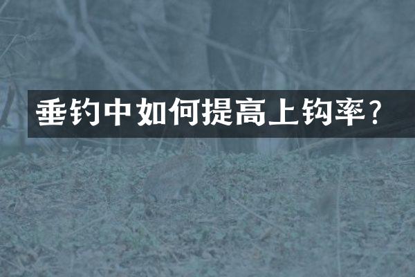 垂钓中如何提高上钩率？