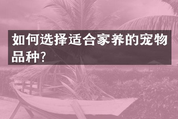 如何选择适合家养的宠物品种？