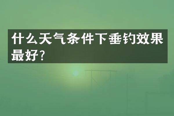 什么天气条件下垂钓效果最好？