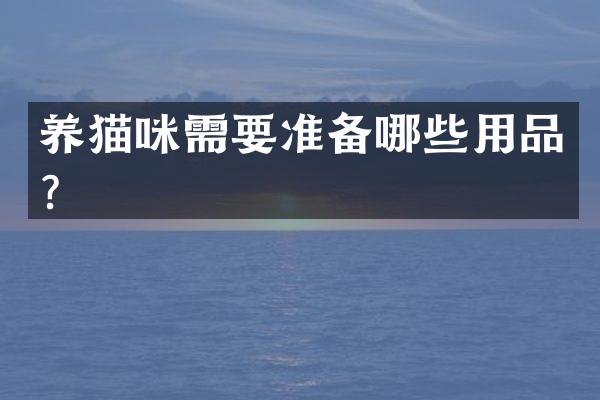 养猫咪需要准备哪些用品？