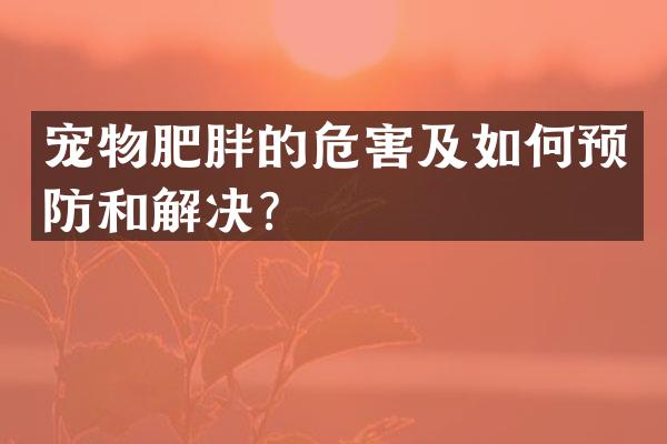 宠物肥胖的危害及如何预防和解决？