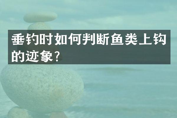 垂钓时如何判断鱼类上钩的迹象？