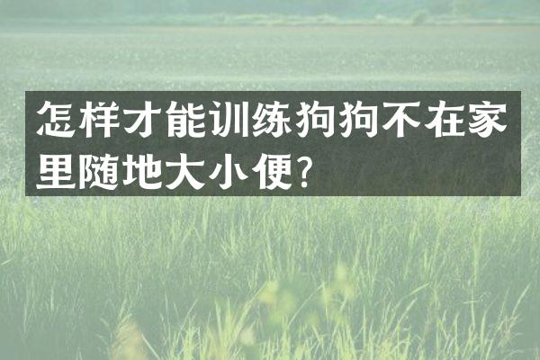 怎样才能训练狗狗不在家里随地大小便？