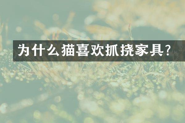 为什么猫喜欢抓挠家具？