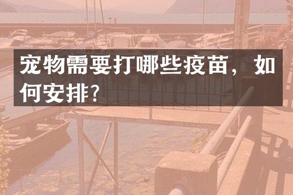 宠物需要打哪些疫苗，如何安排？
