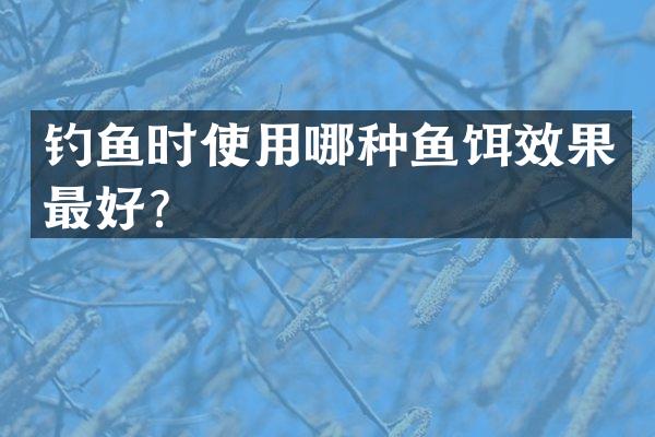 钓鱼时使用哪种鱼饵效果最好？