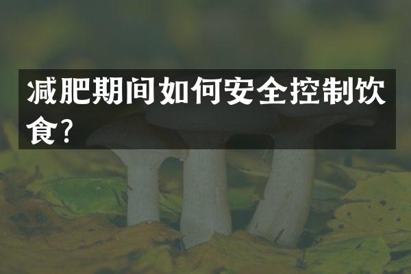 减肥期间如何安全控制饮食？