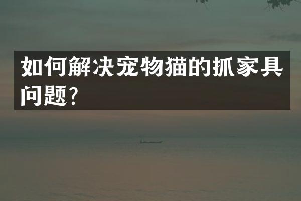 如何解决宠物猫的抓家具问题？