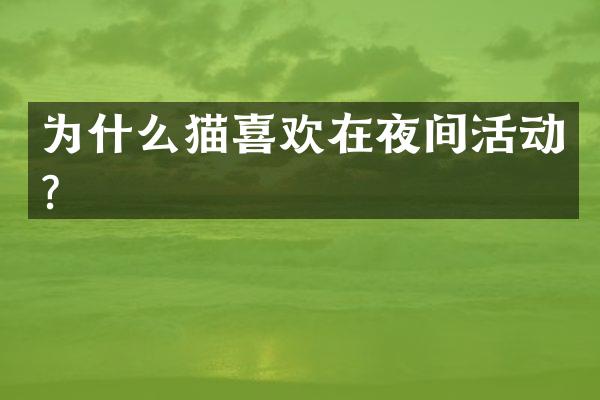 为什么猫喜欢在夜间活动？
