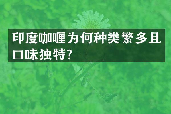 印度咖喱为何种类繁多且口味独特？