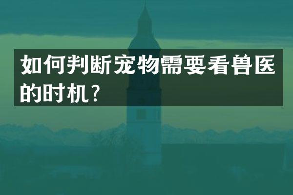 如何判断宠物需要看兽医的时机？