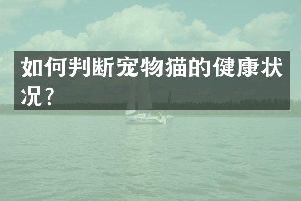 如何判断宠物猫的健康状况？