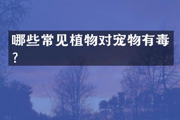 哪些常见植物对宠物有毒？